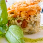 CARCIOPOMODOROSO RISOTTO COI SALTAREI E OLIO AL BASILICO