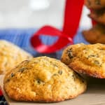 Biscotti di Zucca, Cioccolato e Noci
